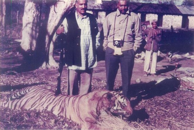 Jungle Ways - Rk Dharampal Singh of Awagarh with a Tiger he shot around Guna, Central India